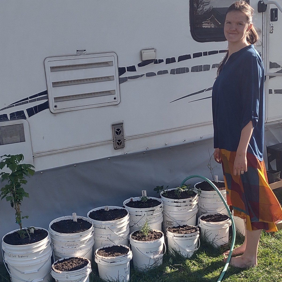 My Self-Watering Bucket&nbsp;Garden