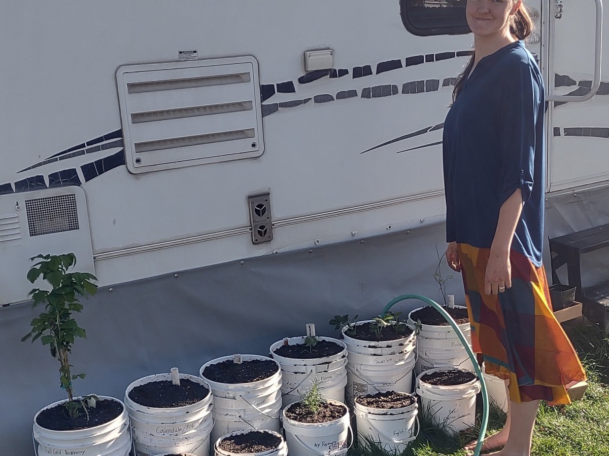 My Self-Watering Bucket&nbsp;Garden