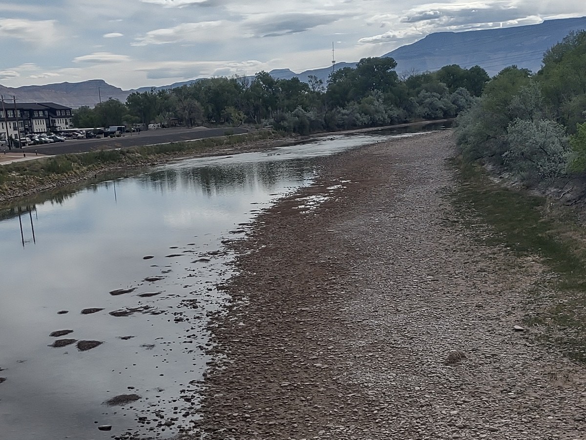 Trust in the&nbsp;drought